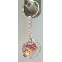 Lune argenté renard de Laure Phelipon