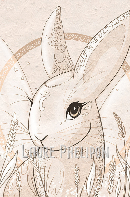 Lapin Croquis par Laure Phelipon