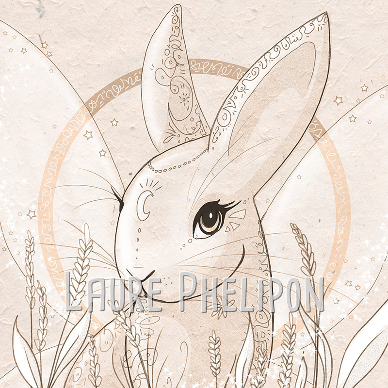 Lapin Croquis par Laure Phelipon