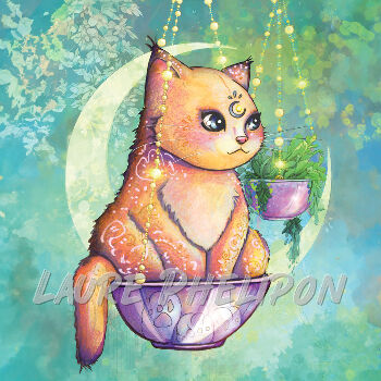  par Laure Phelipon