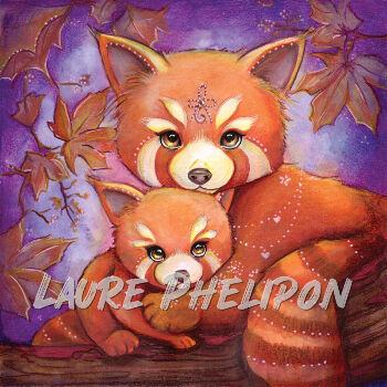 Panda roux par Laure Phelipon